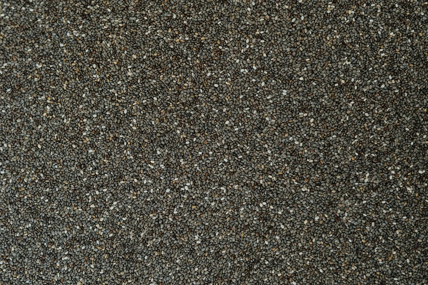 Whole chia seeds seen up close