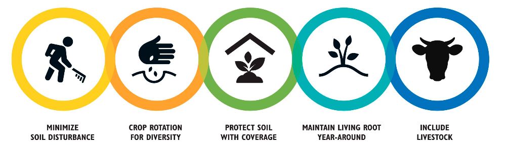 Regenerative agriculture